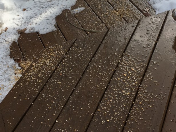 5C1D1AC1-7047-4031-9F4F-E253F5E44369