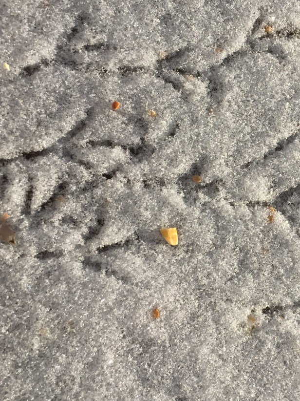 CF3CF546-F5EE-4901-B69F-5CF9AE429BEB